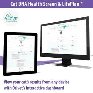 CAT DNA HEALTH SCREEN