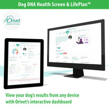 Load image into Gallery viewer, DOG DNA HEALTH SCREEN