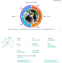 Load image into Gallery viewer, DOG BREED IDENTIFICATION